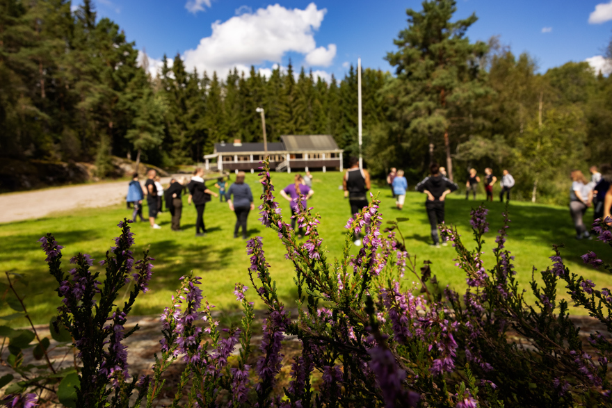 Grupp som står i ring på grönt gräs en sommardag